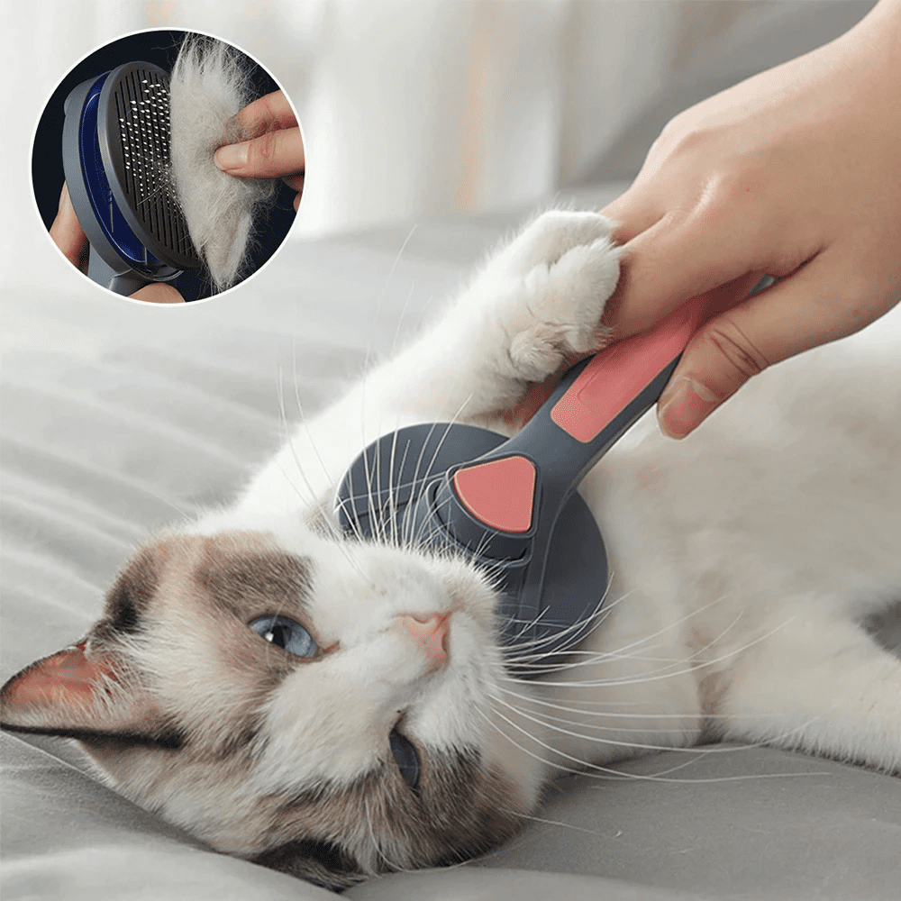 Cepillo de eliminación de pelo para mascotas